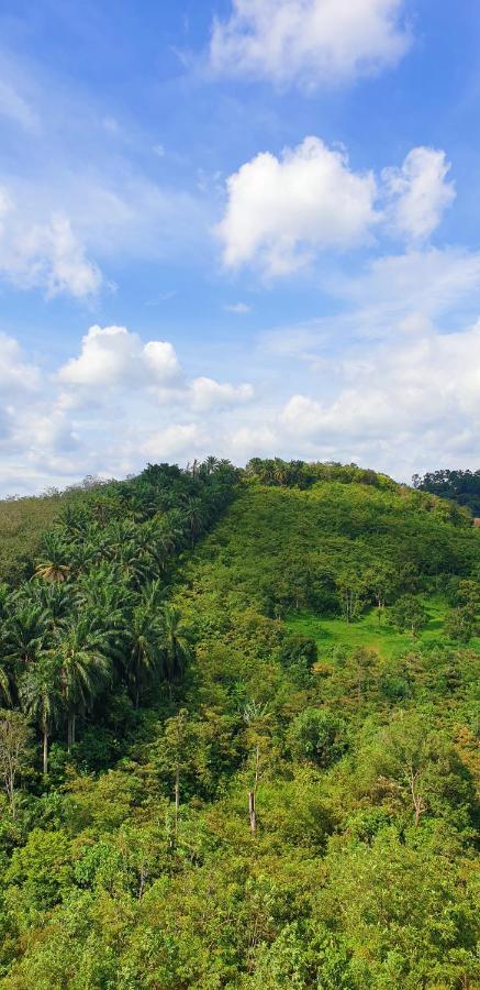 Klia Ehsan Residence Sepang Nilai Greenery 8 Pax Air-Con Exteriör bild